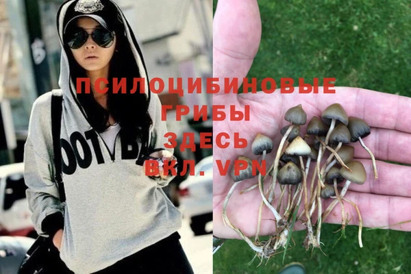 прущая мука Белокуриха