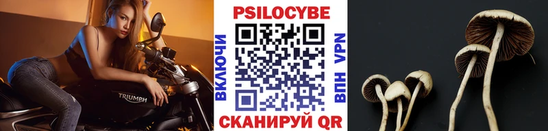 купить закладку  Купино  мега онион  Галлюциногенные грибы ЛСД 