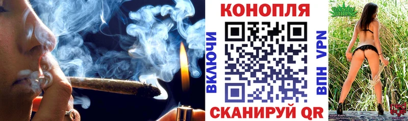 Бошки марихуана OG Kush  Купино 